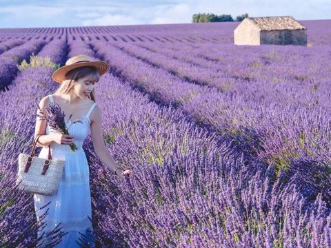 Trắc nghiệm: Năm nay bạn sẽ “nở hoa” ở lĩnh vực nào trong cuộc sống?