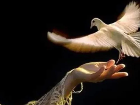 Chăm làm việc Thiện nhưng mắc vào 3 kiểu này thì Phước Càng Mỏng