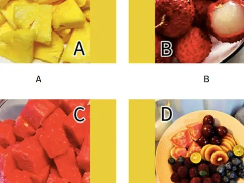 Trắc nghiệm tâm lý 2026: Điều ước lớn nhất nào của bạn sẽ trở thành hiện thực?