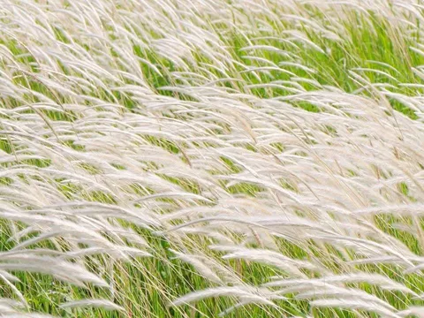 Trắc nghiệm tâm lý: Ai là người giữ vị trí quan trọng nhất trong cuộc đời bạn?