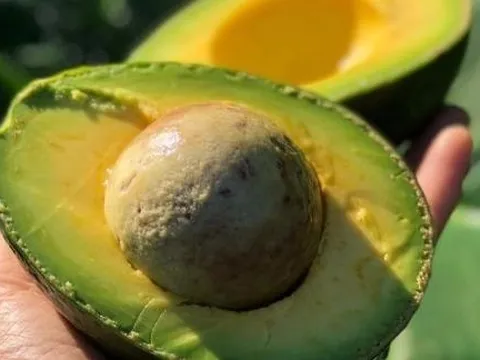 6 thực phẩm giúp làn da sáng mịn từ bên trong