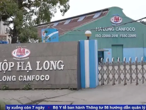 Đồ hộp Hạ Long gây xôn xao với tuyên bố “tiêu diệt virus tả lợn châu Phi”