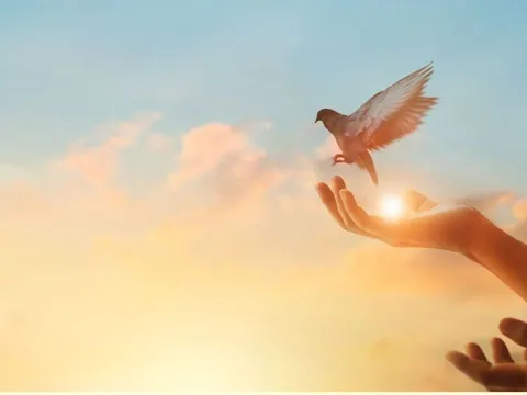 Người xưa dặn “nhìn xa trông rộng”, nhưng rốt cuộc vẫn phải thuận tự nhiên: Bài học càng lớn tuổi càng thấm