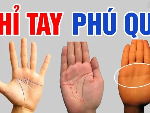 Bàn tay có 3 nét tướng này cả đời sống trong nhung lụa