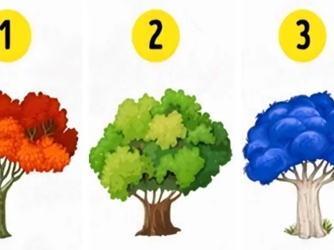 Trắc nghiệm tâm lý: Bạn thực sự mạnh mẽ hay chỉ đang “gồng mình” chịu đựng?