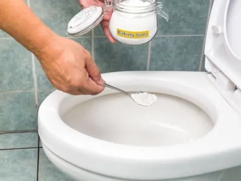 5 mẹo giúp nhà vệ sinh thơm tho sạch sẽ bằng các nguyên liệu tự nhiên