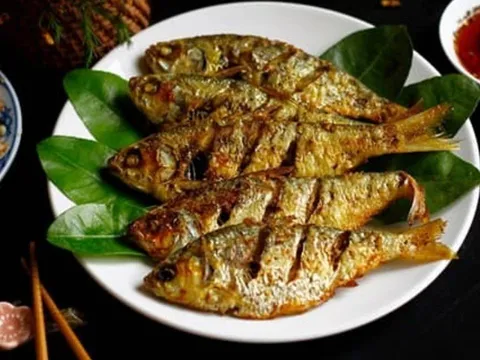 Chuyên gia Mỹ công bố loại cá tốt nhất thế giới: Việt Nam có rất nhiều, giá rẻ bất ngờ