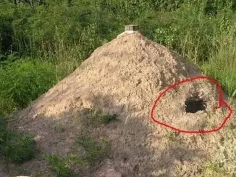 Giải mã câu tục ngữ nông thôn: Một thứ trước mộ, ba thứ sau mộ nói lên điều gì?