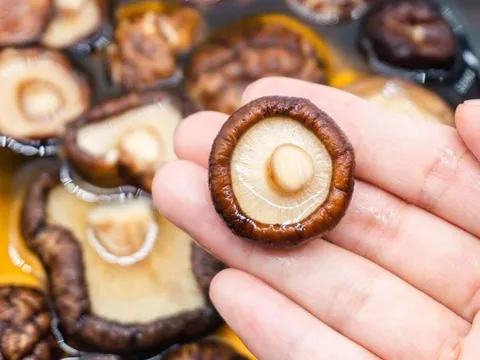Ngâm nấm hương khô bằng nước nóng hay nước lạnh mới đúng? Nhiều người vẫn làm sai mà không biết