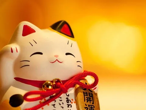 Trắc nghiệm vui: Khám phá điều đang âm thầm mang vận may đến với bạn