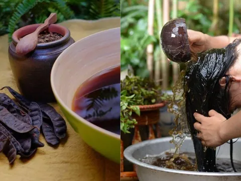 Cách gội đầu bằng bồ kết thay cho dầu gội công nghiệp giúp tóc mọc nhanh, đen mượt, không bị bết