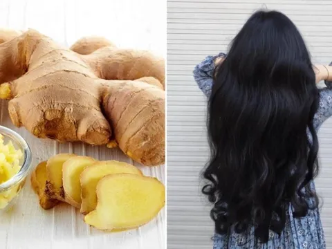 Cách gội đầu bằng gừng tươi trị rụng tóc hiệu quả, tóc con mọc lên tua tủa