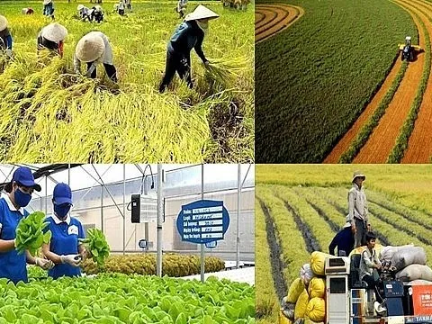 Từ năm 2026 đến 2030: Những trường hợp được miễn thuế sử dụng đất nông nghiệp người dân cần biết