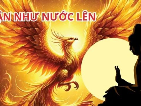 Từ 20/1 đến 25/1: 3 con giáp Thu Lộc Tứ Phương, hưởng no phúc phần