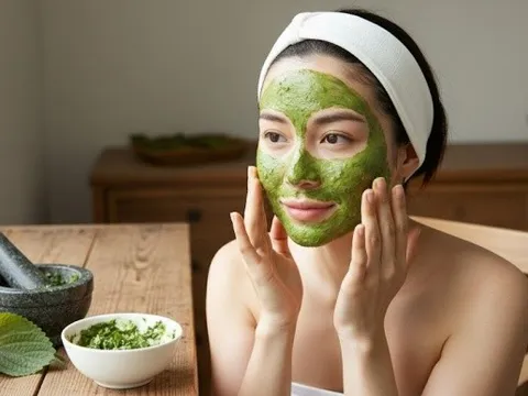 Lá tía tô – phương pháp dân gian giúp da sáng khỏe từ trong ra ngoài