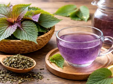 Uống nước tía tô phải biết: 3 khung giờ "Vàng" cho sức khỏe và 4 thời điểm uống vào dễ gây hại