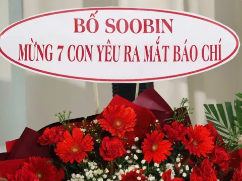 SOOBIN gửi hoa chúc mừng UPRIZE, lời nhắn “Mừng 7 con yêu ra mắt báo chí” gây chú ý