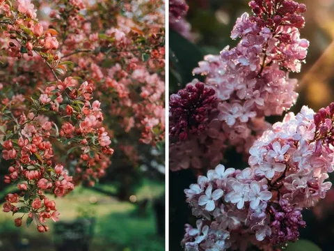 Người mang “mệnh dễ tích lộc” thường sinh 5 khung giờ này: Tài lộc rõ ràng, bền vững