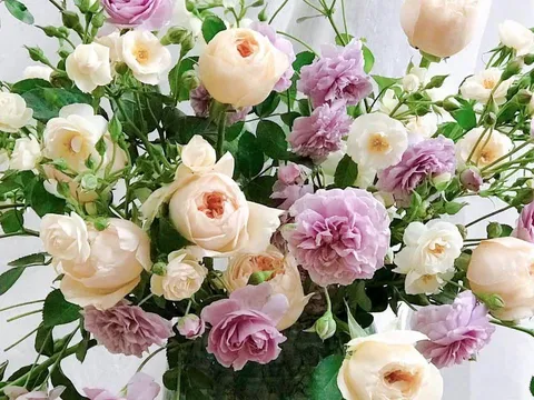 Trắc nghiệm tâm lý: Chọn 1 bình hoa theo trực giác để khám phá vận may, tài lộc và tình duyên sắp tới