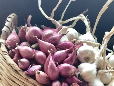Cách bảo quản hành, tỏi cả năm không bị mốc, không bị teo thối hay mọc mầm