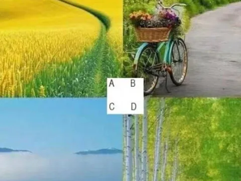 Trắc nghiệm tâm lý: Chọn một con đường bạn muốn đi để khám phá vận mệnh của bạn trong nửa sau cuộc đời