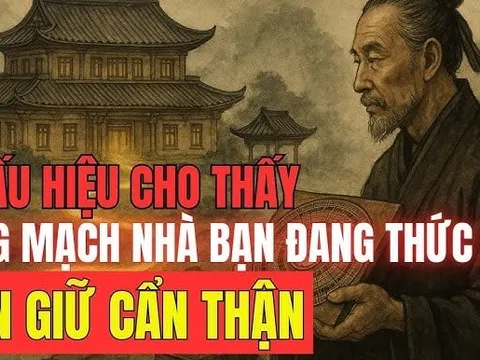 5 dấu hiệu đất có long mạch, càng ở Tiền càng nở ra