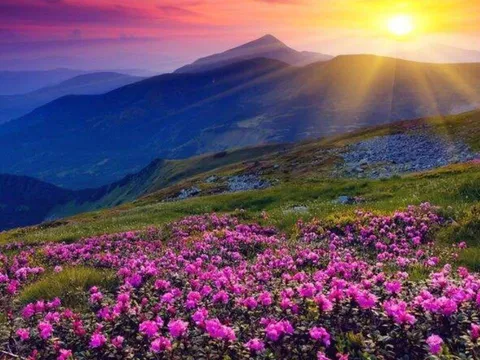 Trắc nghiệm tâm lý: Sau tuổi 50, bạn giàu sang phú quý hay sống an yên, bình dị?