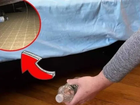 Vì sao người khôn ngoan khi nhận phòng khách sạn luôn ném chai nước xuống gầm giường?