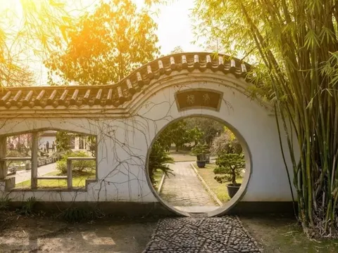 4 cây Âm mọc trước cửa nhà Tổ tiên gánh không nổi, chặt ngay còn kịp