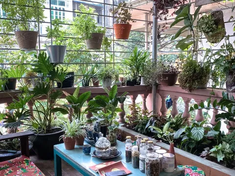 4 dấu hiệu vận may sắp đến nhà bạn, chỉ cần gặp 1/4 cũng xin chúc mừng