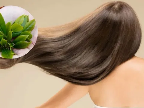 Gội đầu bằng thảo dược: Giải pháp tự nhiên giúp nuôi dưỡng tóc và da đầu khỏe mạnh mùa đông