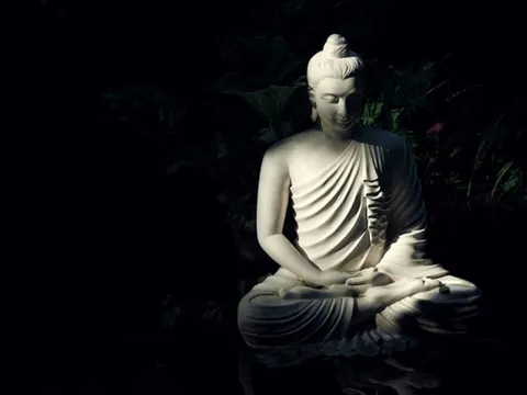 9 cách để có tâm tướng đẹp như hoa ở kiếp sau, hãy làm theo Phật dạy