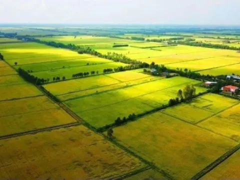 Các trường hợp được miễn thuế sử dụng đất nông nghiệp từ ngày 1/1/2026