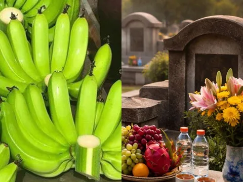 Dân gian truyền lại: Tạ mộ cuối năm không mang theo Chuối, vì sao?
