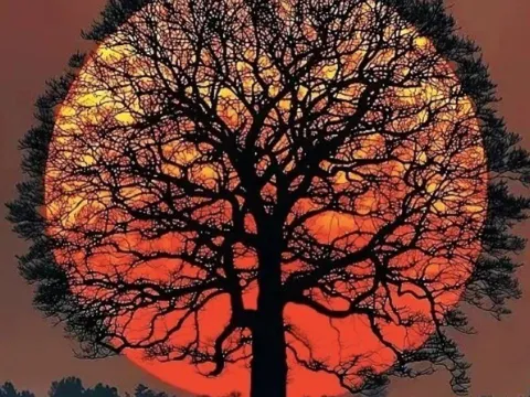 Trắc nghiệm tâm lý: Nhìn thấu hậu vận – Cuộc đời bạn có viên mãn, sung túc như mong ước?