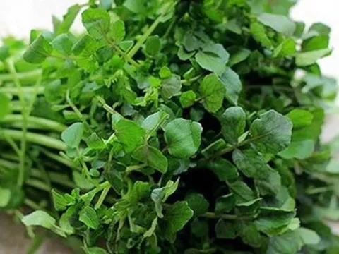 7 loại rau ít calo, hỗ trợ giảm cân dễ dàng