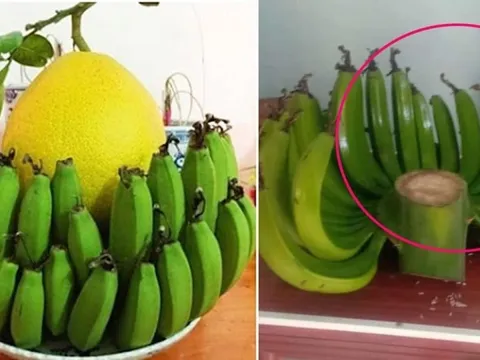 Có nên ghép 2 nải chuối để thắp hương cúng Tổ Tiên không?