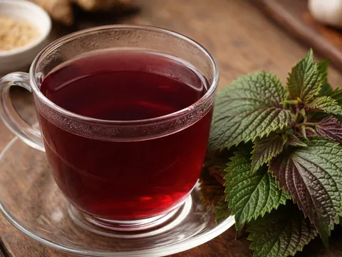 7 trường hợp không nên uống nhiều nước lá tía tô