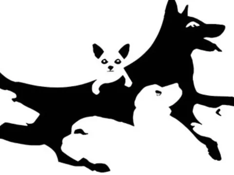 Trắc nghiệm tâm lý: Tâm hồn bạn đang ở độ tuổi nào? Kết quả có thể khiến bạn bất ngờ