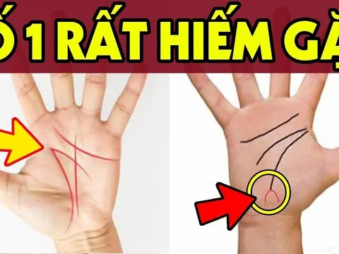 Bàn tay có 3 đặc điểm này cả đời sống trong nhung lụa, cực kỳ giàu có