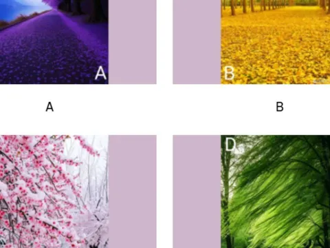 Trắc nghiệm tâm lý: Chọn phong cảnh bạn thích để biết sau tuổi 50 bạn giàu sang hay vẫn chật vật