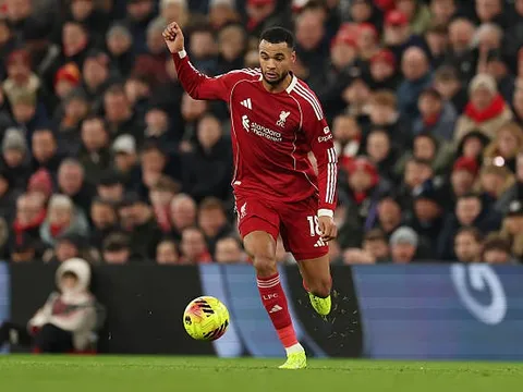 Slot đã đúng khi kiên nhẫn với Gakpo