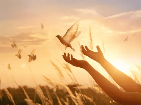 7 trường hợp không nên sát sinh theo lời Phật dạy