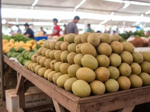 Loại quả Đồng Tháp từng bị lãng quên nay “lên đời” đặc sản Tết, giá tới 70.000 đồng/kg