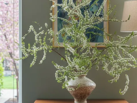 Sai lầm “kinh điển” khi thay nước khiến tuyết mai nhanh tàn: Sửa đúng một chi tiết, hoa tươi bền tới 2 tuần