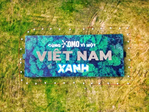 OMO Tết Concert “Giữa Tán Rừng Xanh”: Khi Âm Nhạc Hòa Quyện Cùng Cam Kết Xanh Cho Việt Nam
