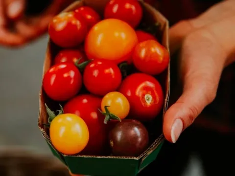 2 nhóm người phải kiêng ăn cà chua