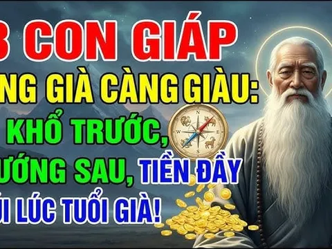 Về Già Mới Sướng, 3 con giáp tuổi trẻ bôn ba, sao 50 Tiền Tài đầy đủ