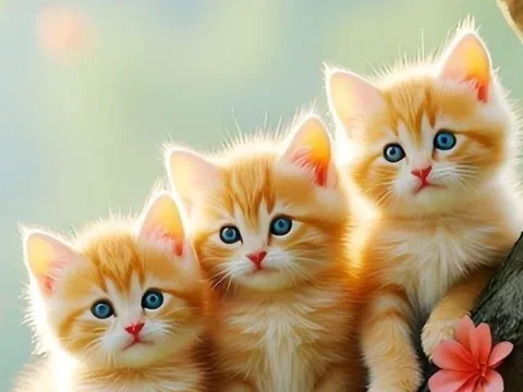 Năm Bính Ngọ 2026: 3 tuổi càng sống chậm càng đổi vận, đi qua xui rủi để đón may mắn bất ngờ