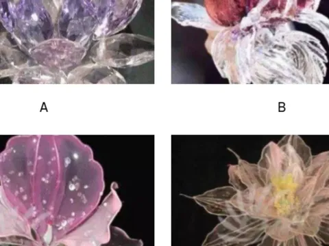 Trắc nghiệm tâm lý: Bông hoa may mắn nào bạn muốn mang về nhà? Lựa chọn hé lộ điều bạn đang chờ đợi